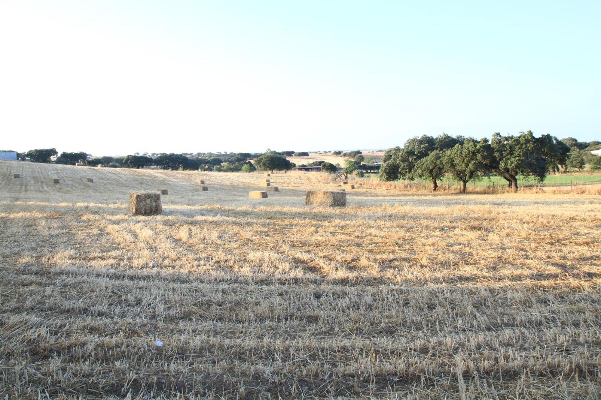 Casa Dos Avos Βίλα Monsaraz Εξωτερικό φωτογραφία
