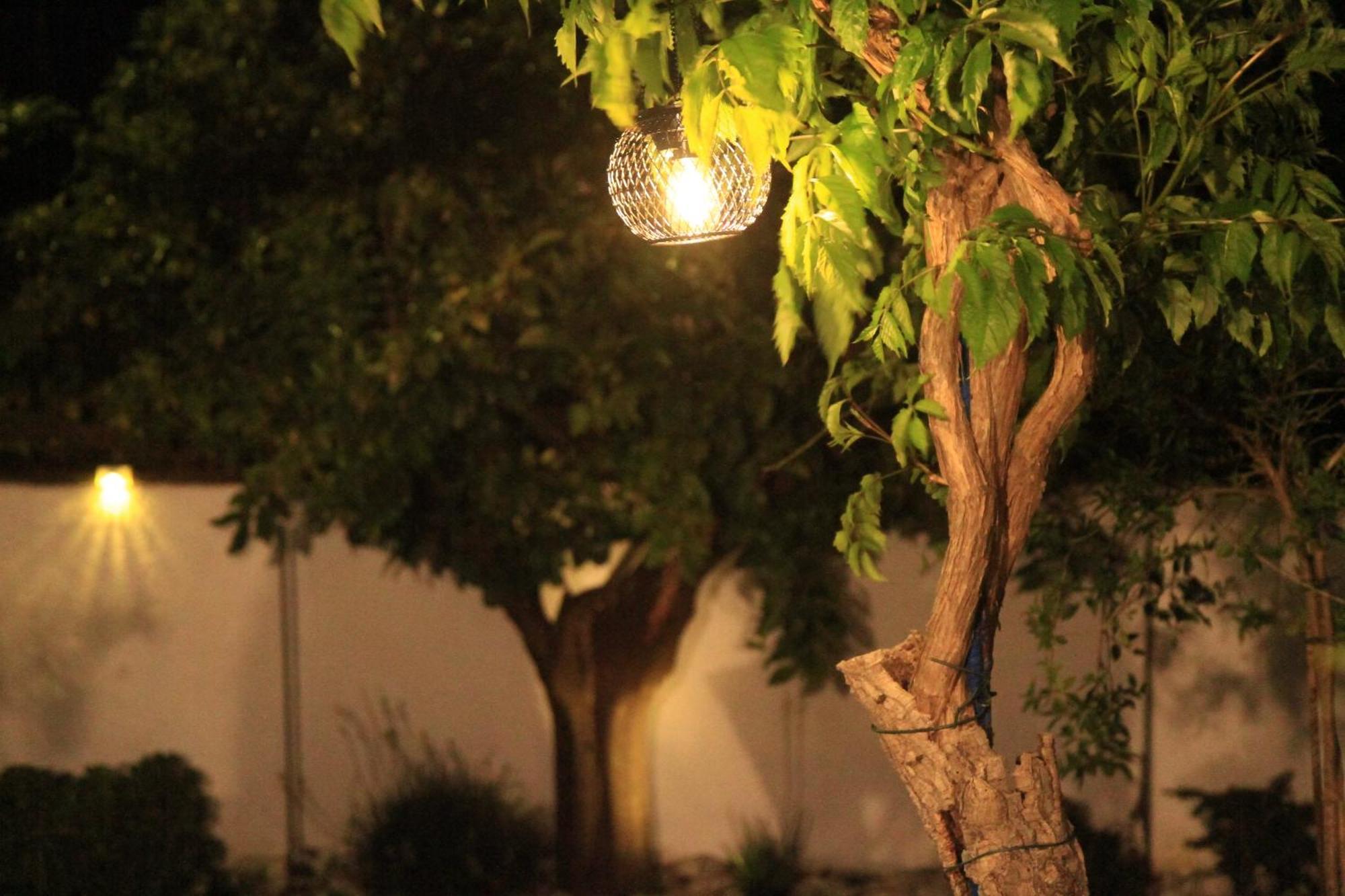 Casa Dos Avos Βίλα Monsaraz Εξωτερικό φωτογραφία